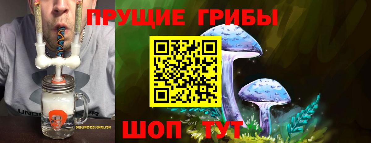 наркота  Вход с VPN  Псилоцибиновые грибы Psilocybine cubensis  Рассказово  Галлюциногенные грибы мицелий 